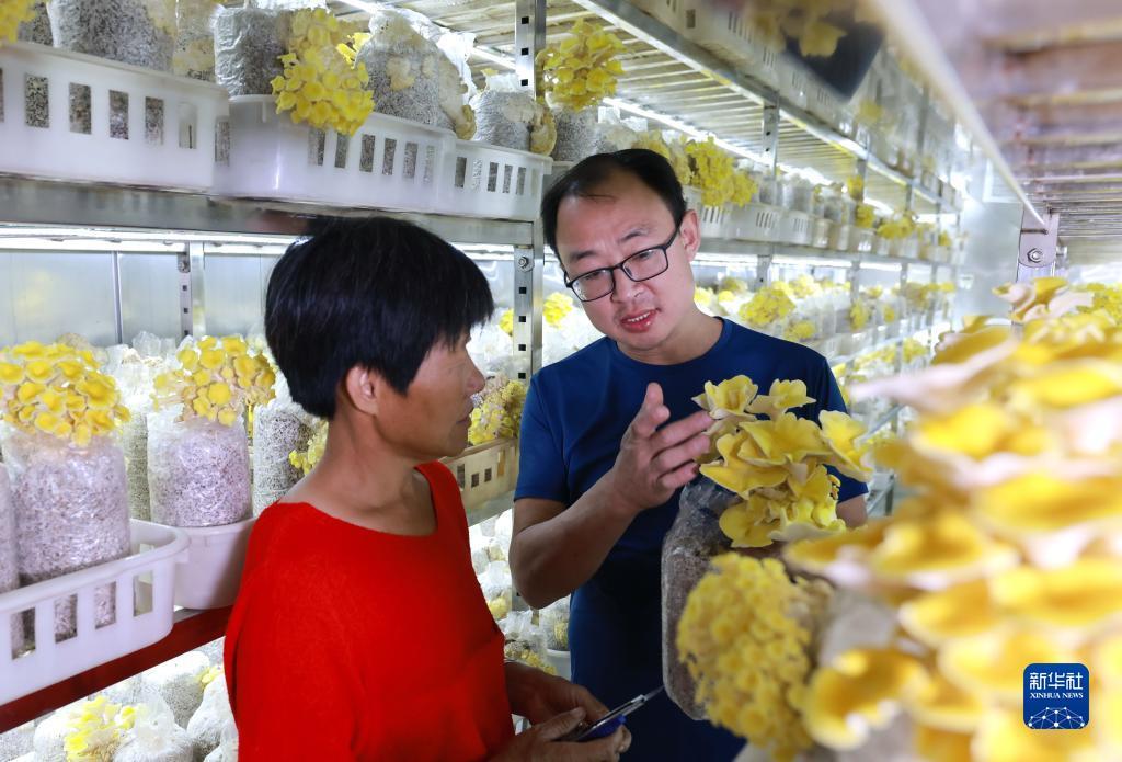 俄罗斯254娱乐平台骗局
